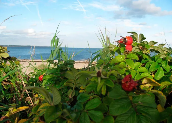 Lägenhet Oelstorf *